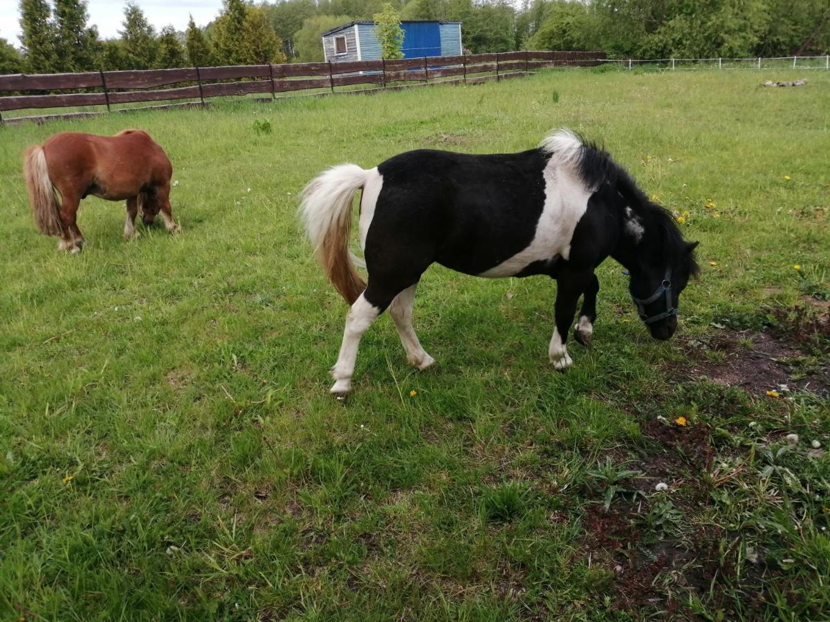 Biebrzanska Zagroda Stare Dolistowo Esterno foto
